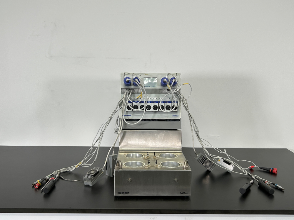 Image of Eppendorf DASbox Mini Bioreactor